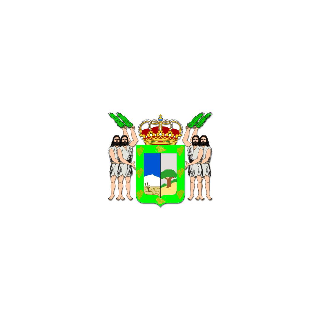 Vacante en Ayuntamiento de Icod de los Vinos (Tenerife). Cosit Cáceres